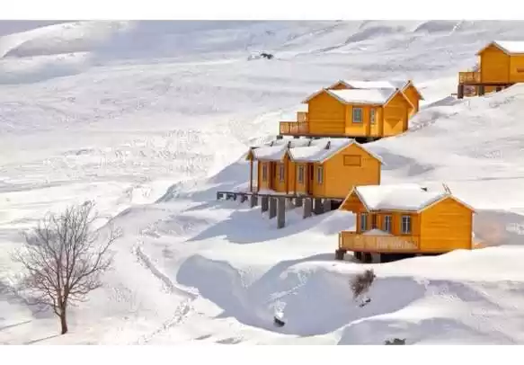 Photo of If you want to trave