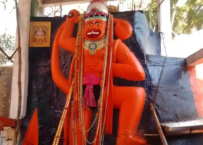 Photo of જાંબુઘોડાના જંગલમાં