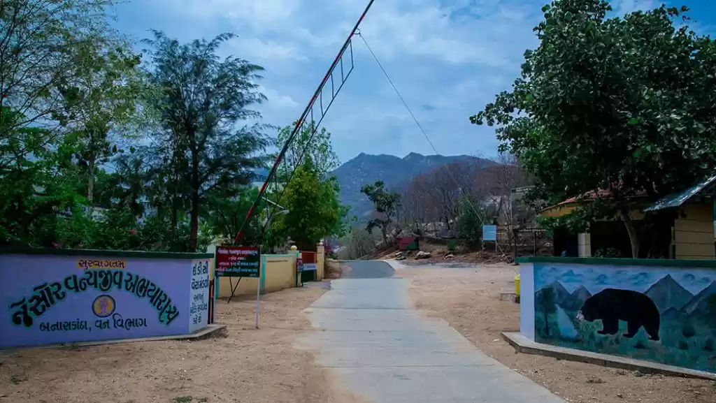 Photo of ફોટોગ્રાફીના શોખીનો 