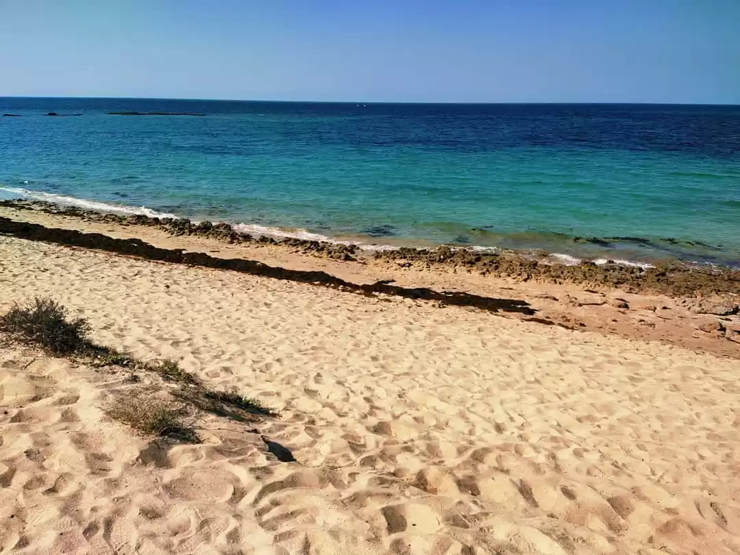 Photo of આ છે બ્લૂ ફ્લેગ ધરાવ