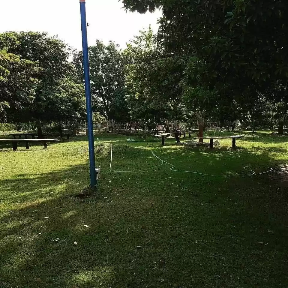 Photo of વન-ડે પિકનિક કરવી હો