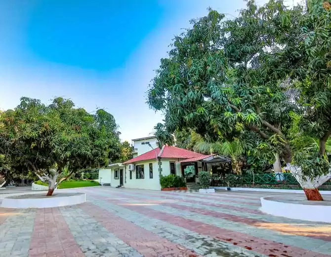 Photo of women's day: સાસણગીર