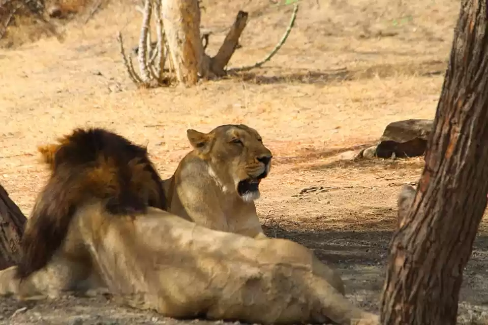 Photo of હવે ફરશે ગુજરાત, રાજ