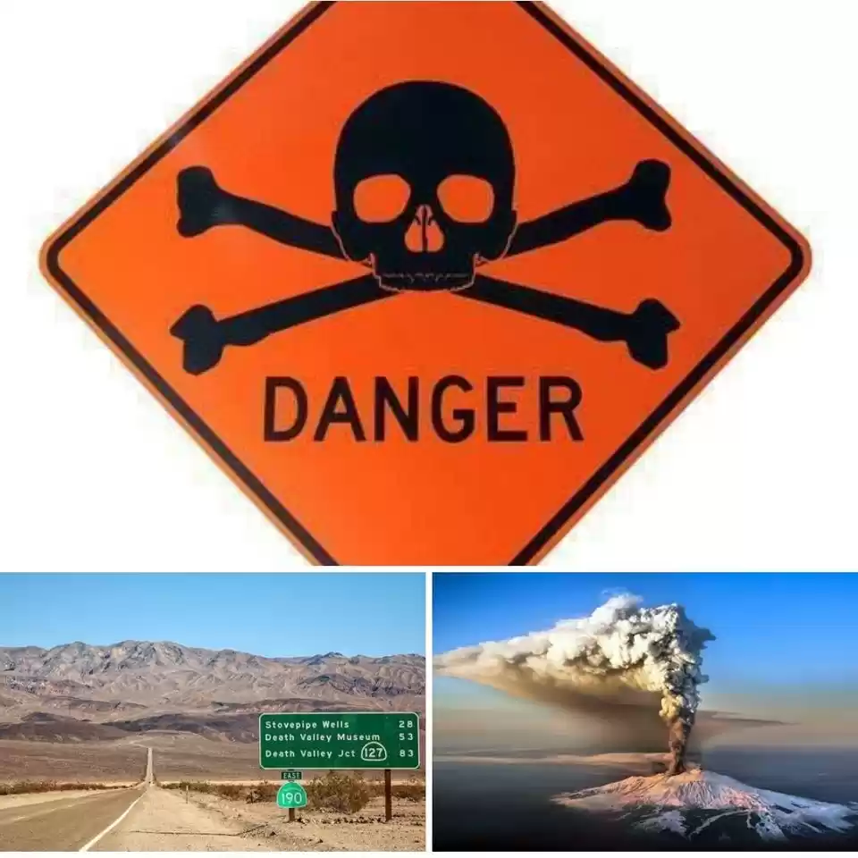 Photo of દુનિયાની એવી ખતરનાક 