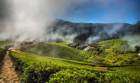 Photo of તમિલનાડુના મેઘામલઈ મ