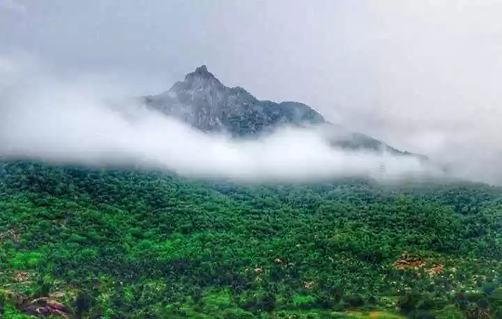 Photo of દશેરા સેલિબ્રેટ કરવા