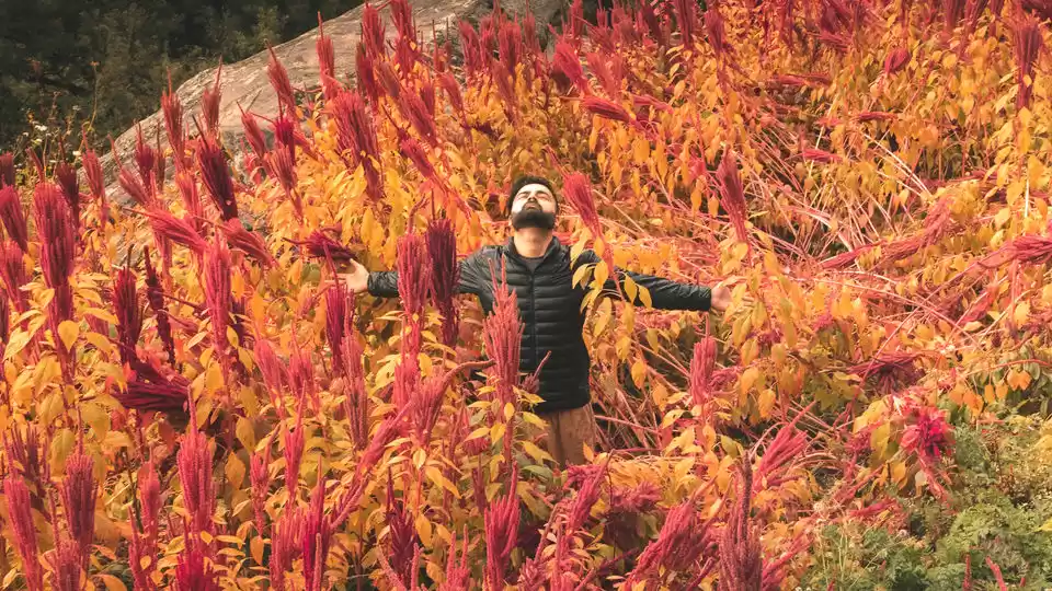 Photo of હર કી દૂનની સુંદર વે