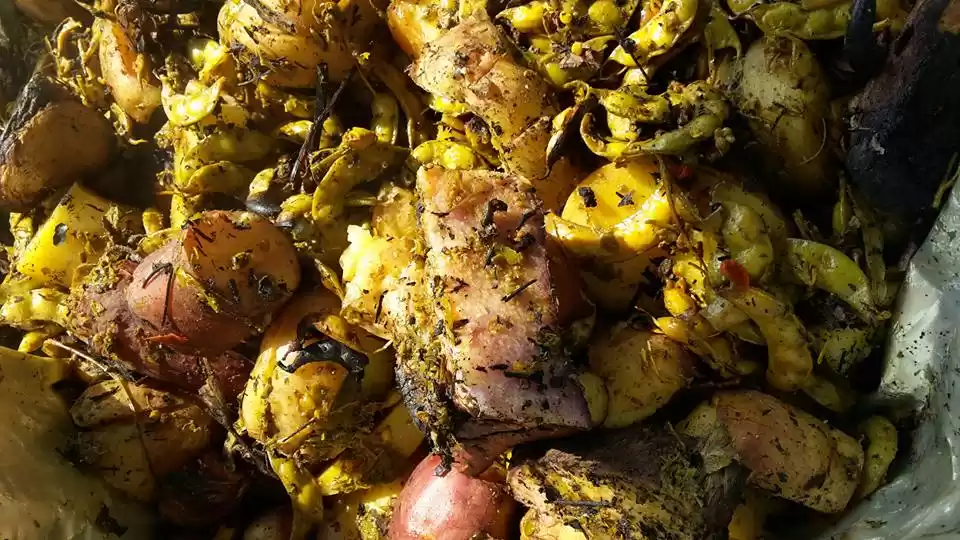 Photo of શિયાળામાં કરો ઉંબાડિ