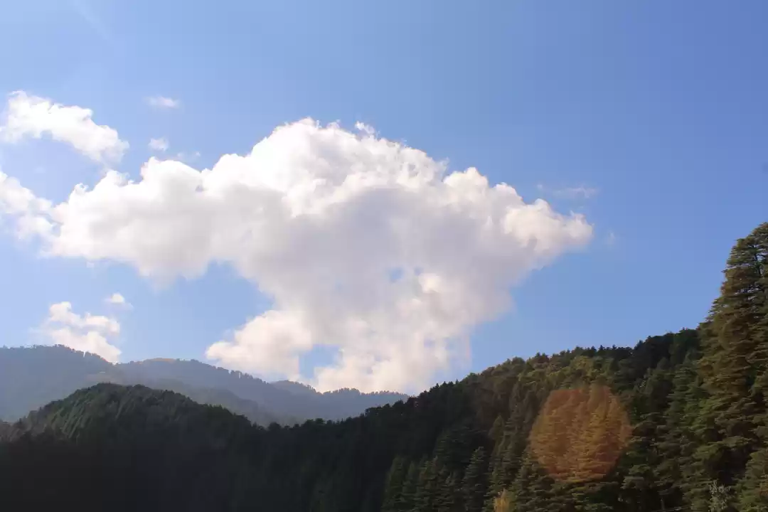 Photo of CASTLES IN THE SKY