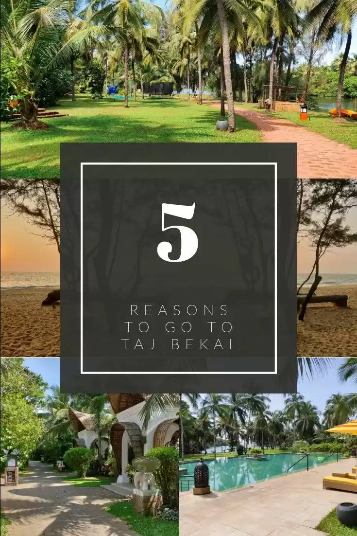 Photo of Welcome to Paradise: