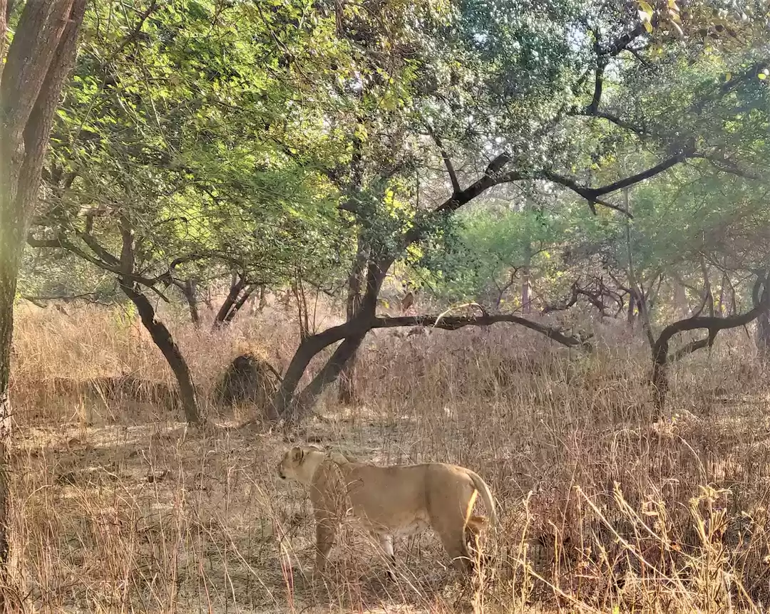 Photo of Welcome to the only