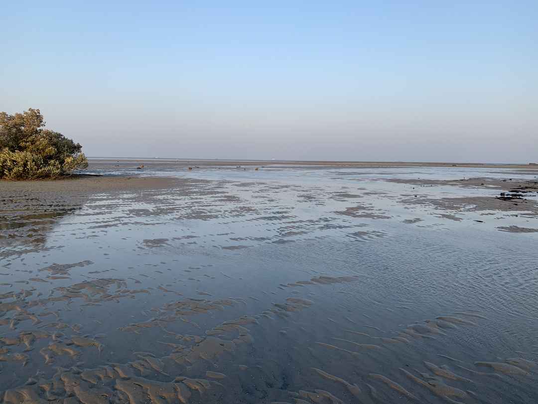 Offbeat Travel Experience To Narara Marine National Park In Gujarat A Detailed Guide Tripoto Narara is another such popular island or 'bet' as it is known in gujarati, dotting the gulf of kutch.