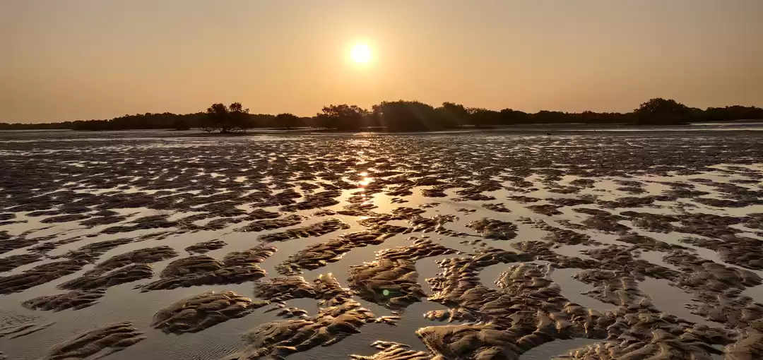 Photo of 42 Islands , No Tour