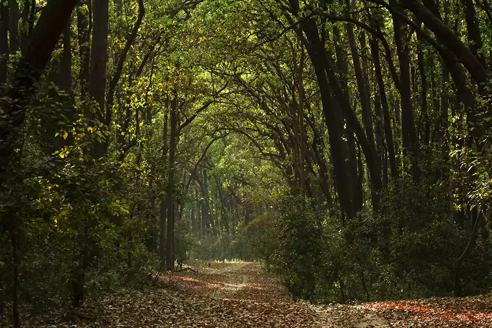 Photo of Get Ready To Pedal T