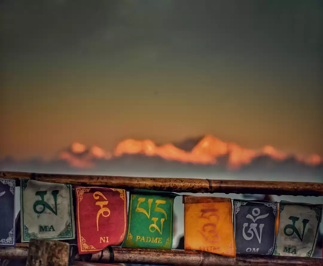 Photo of Tiny Trek to Tiger H