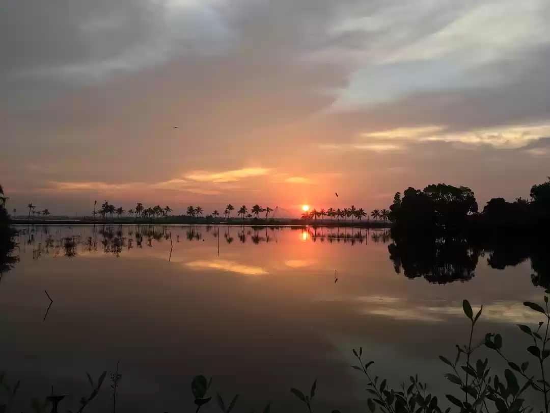 Photo of Sunsets may be clich