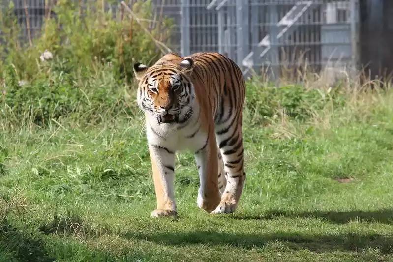 Photo of The Much Admired Tri