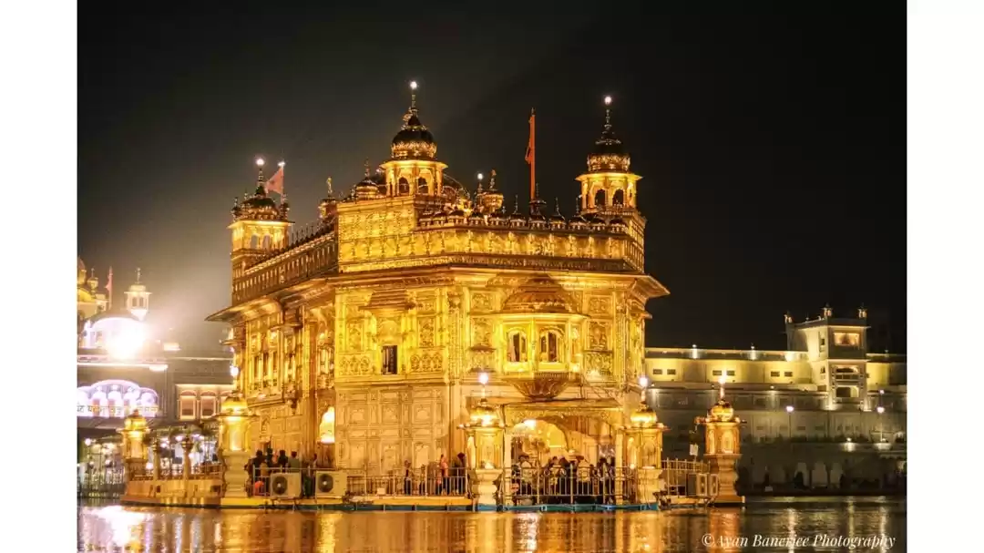 Photo of The beauty of Golden