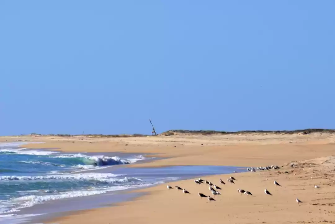 Photo of Barreta Island In Al