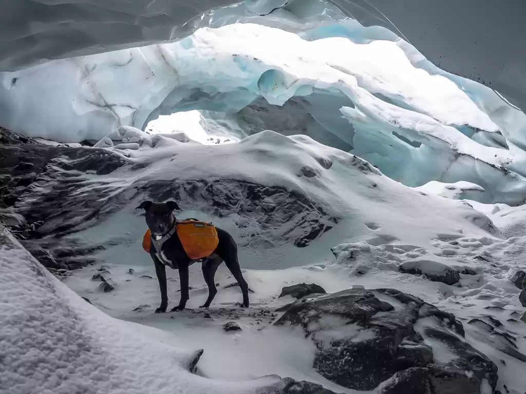 Photo of Explore Byron Glacie