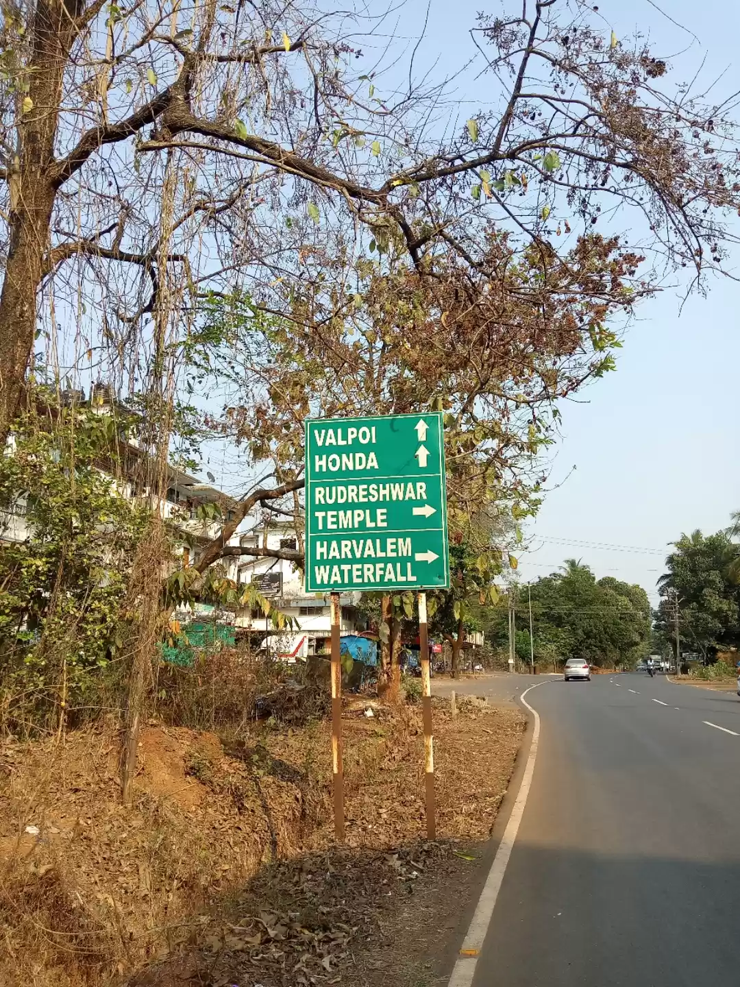 Photo of Exploring Goa beyond