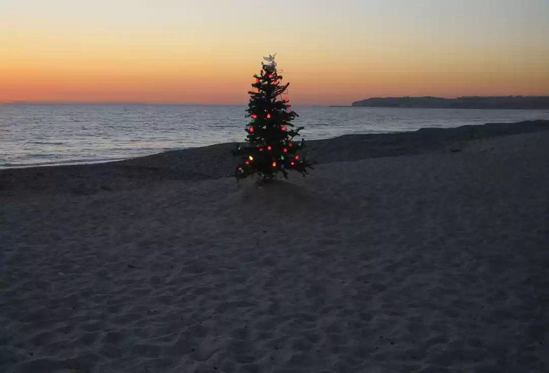 Photo of Sunny Christmas at B