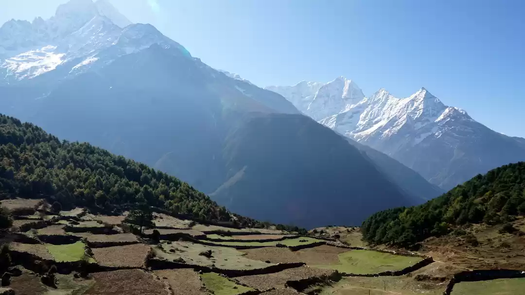 Photo of The Traditional Rout