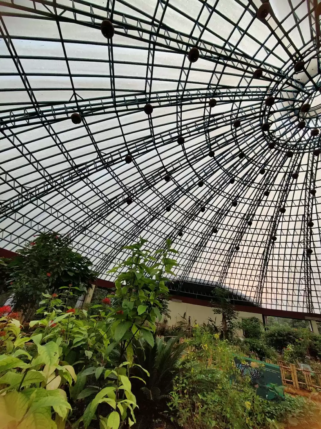 Photo of Butterfly Park