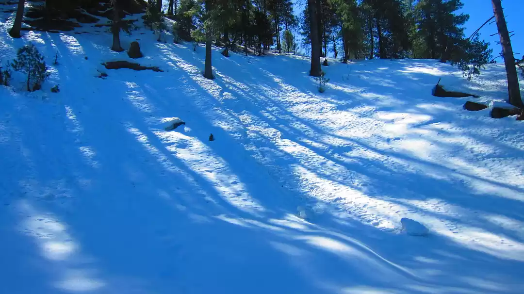 Photo of Narkanda: Where it a