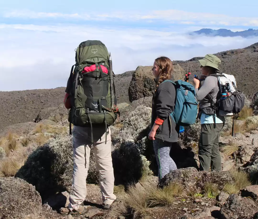 Photo of 8 Days Kilimanjaro h