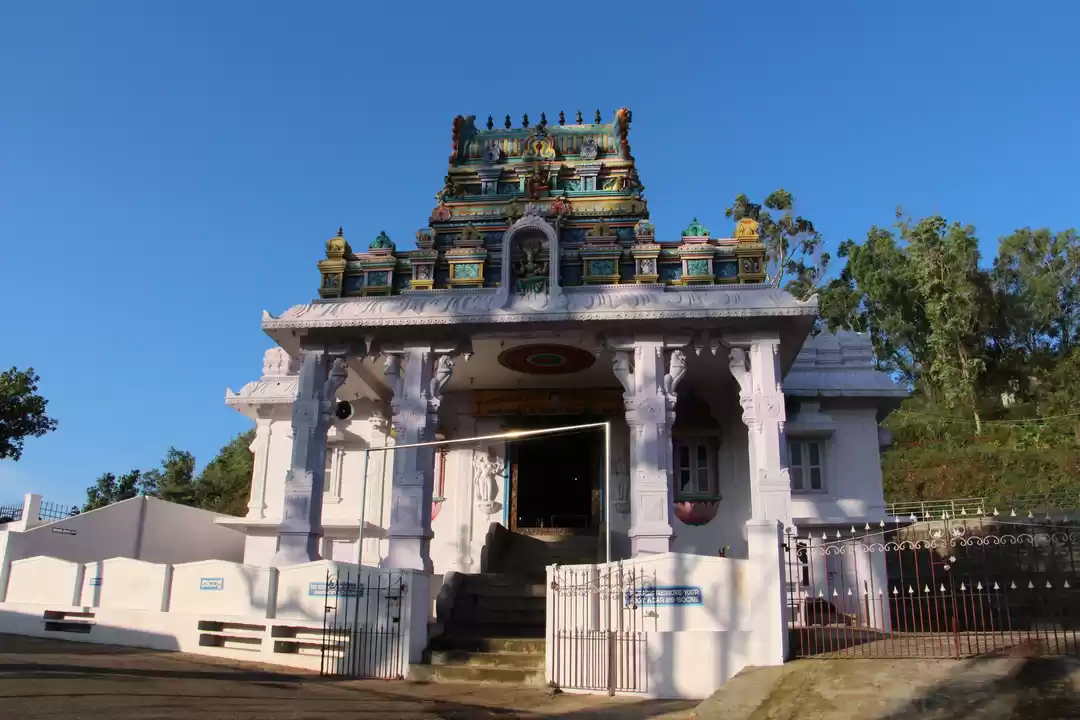 Photo of Spice – Coffee trail