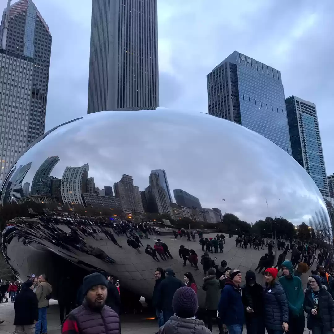 Photo of Bean in Chicago Down
