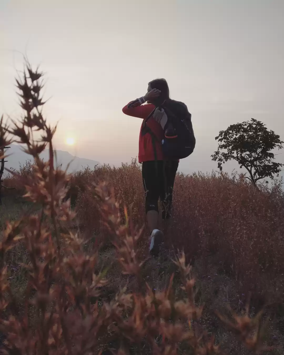 Photo of Trek to Tikona #natu