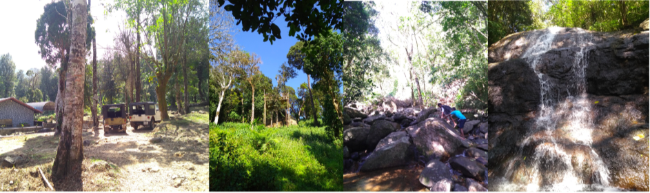 Photo of Wayanad trip : Tentg