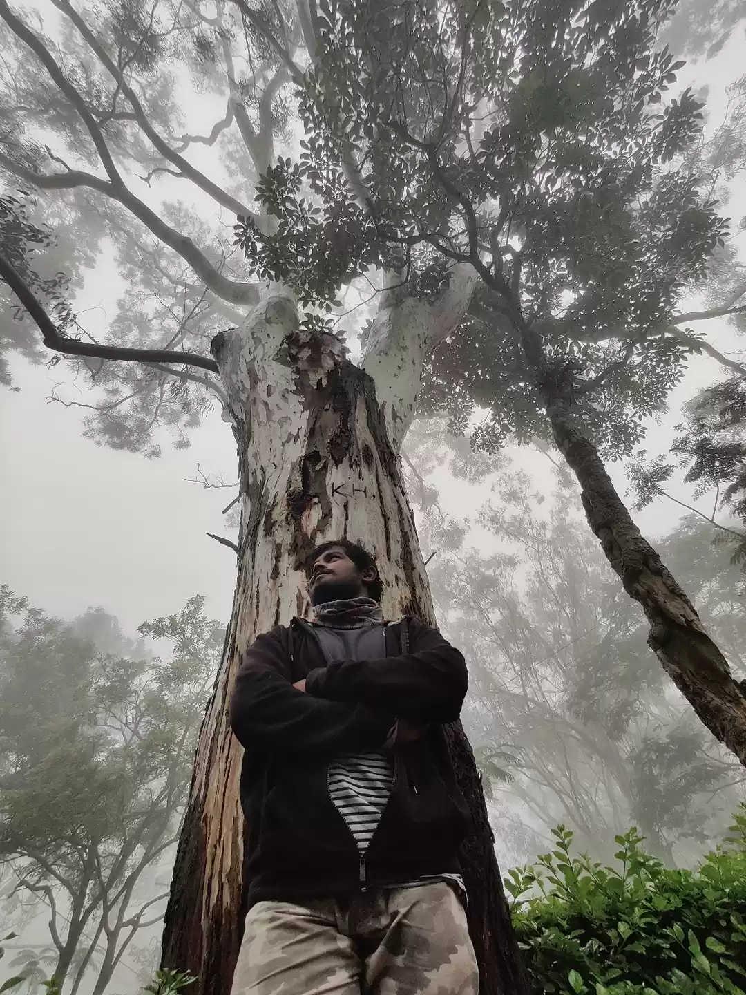 Photo of Horsley hills