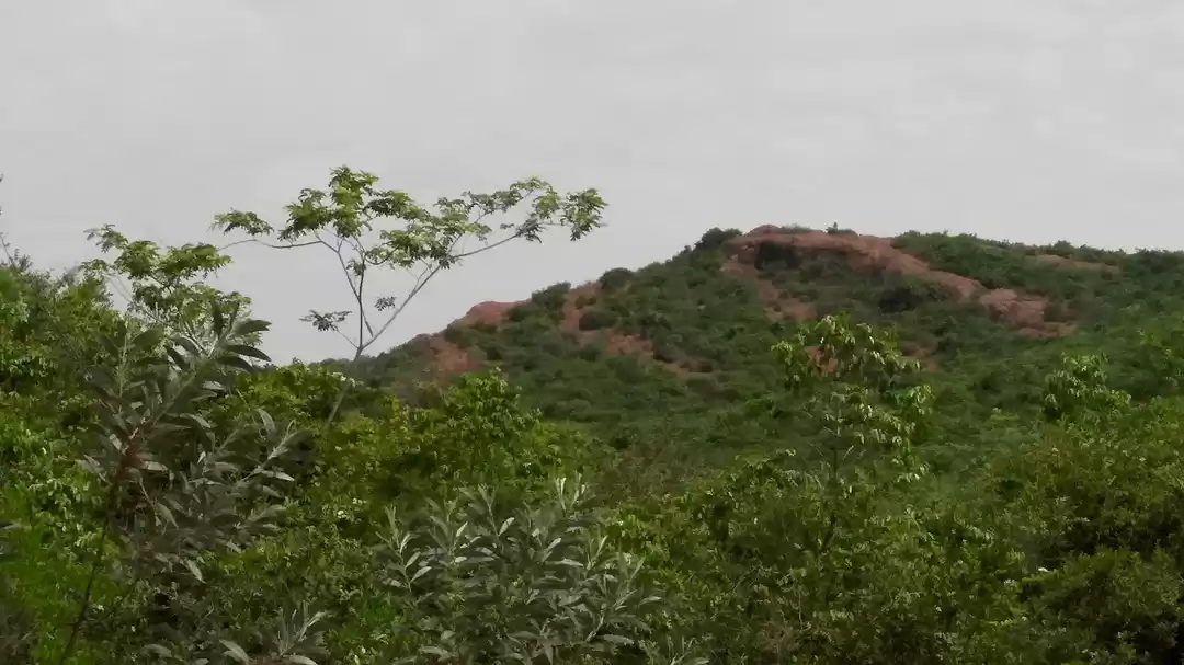 Photo of Trek to Gudiyam Cave