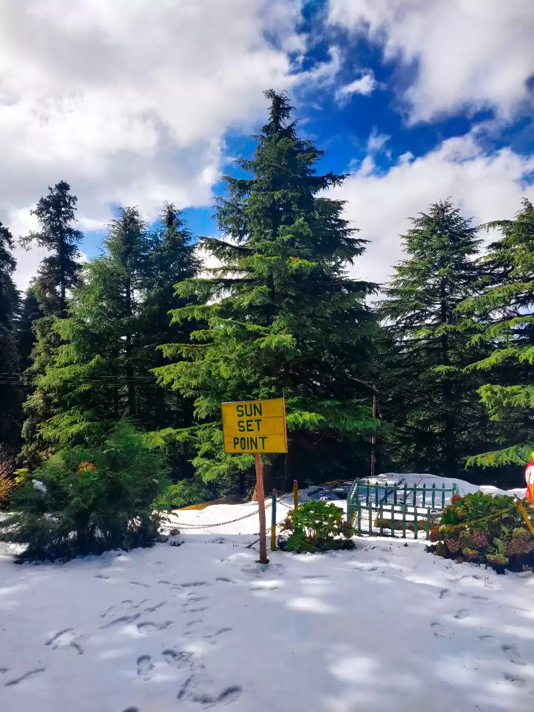 Photo of Merry Christmas