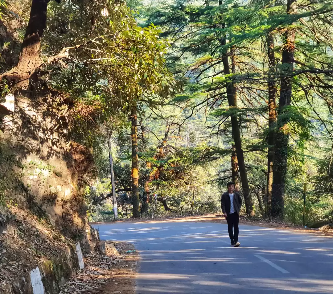 Photo of Triund trek: true he