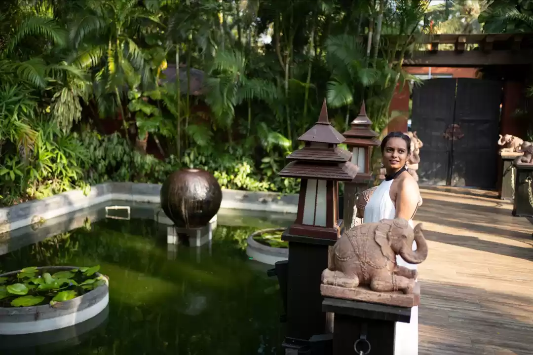 Photo of SNAPS FROM A SOLO TR