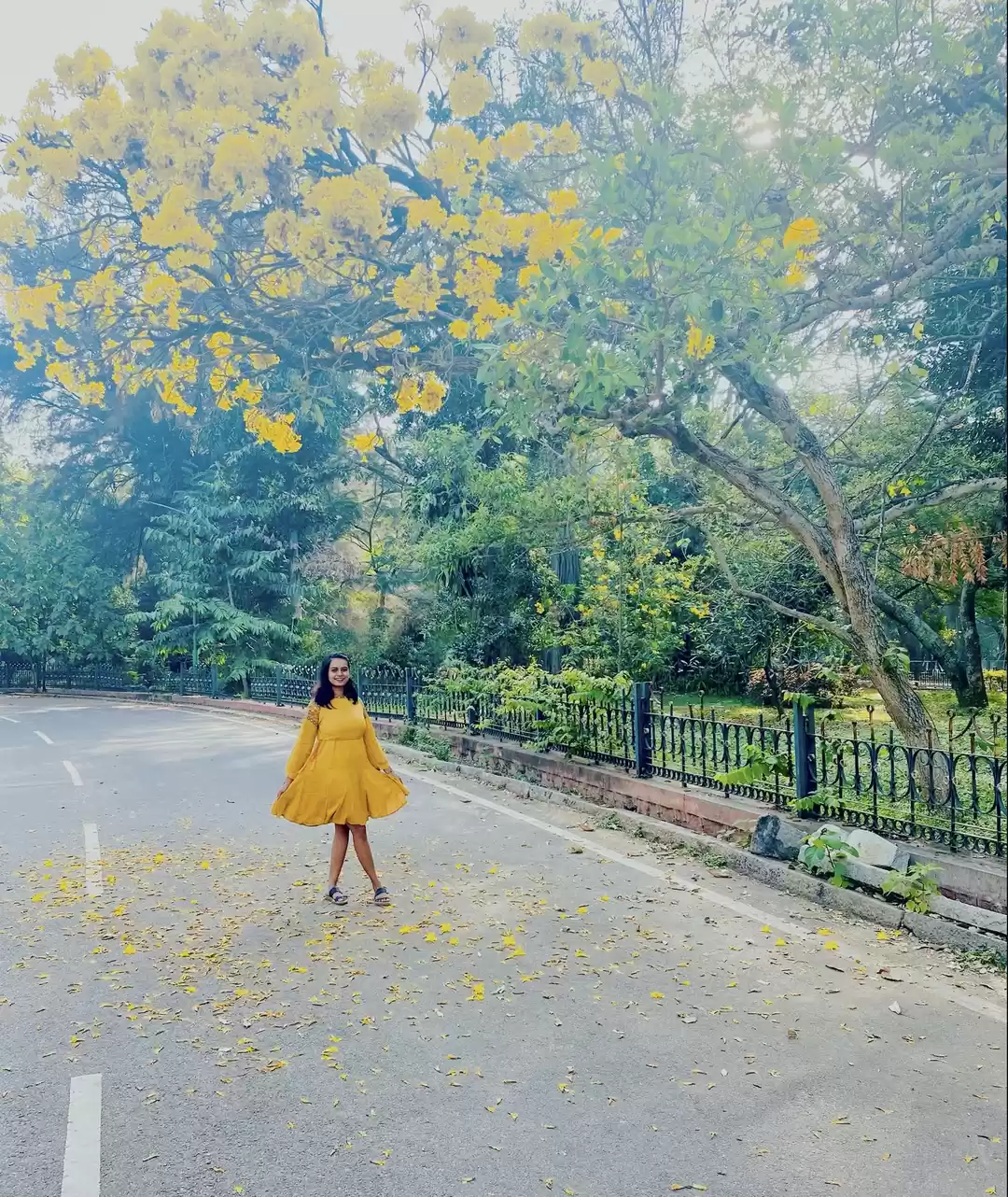 Photo of Fun under the sun: M