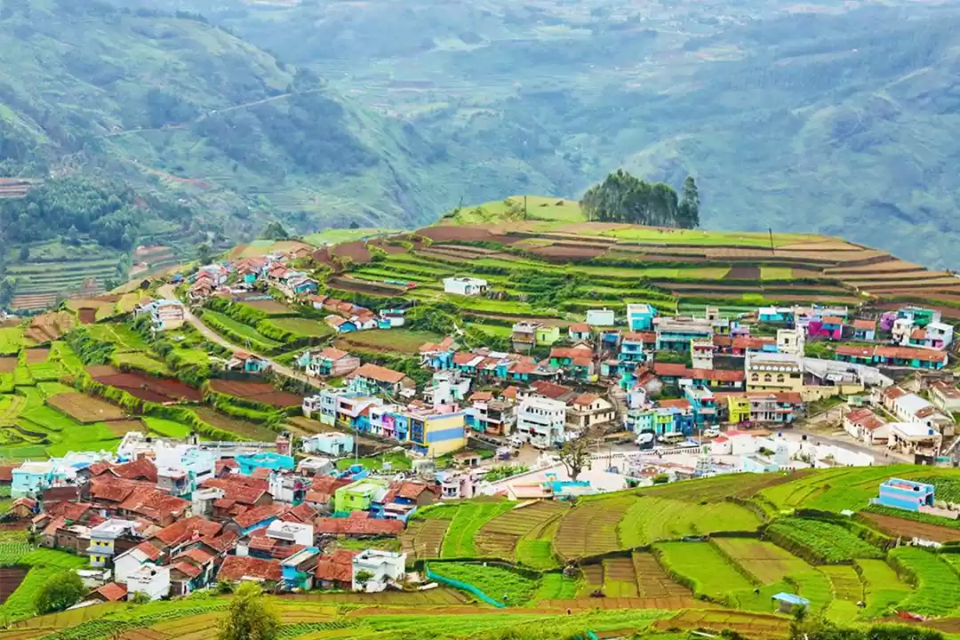 Photo of Love to Camp but Can