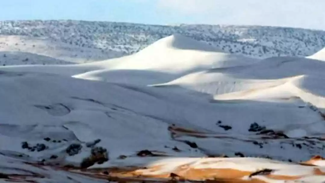 Photo of Ever Saw Snow Fall I