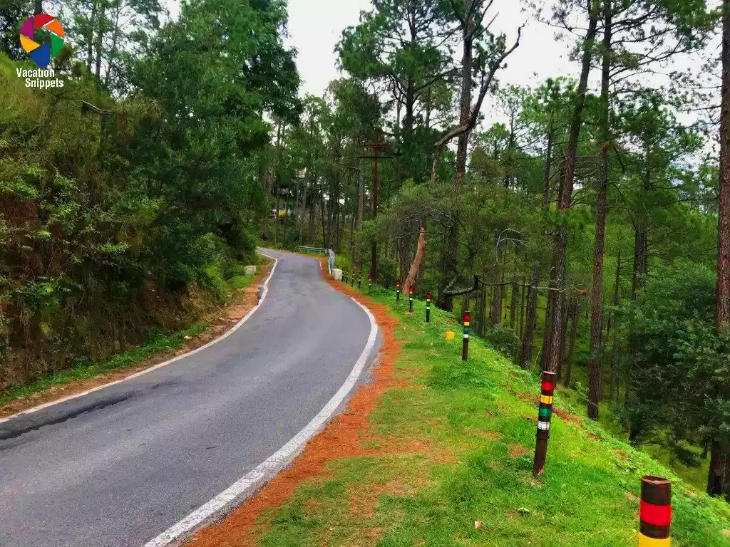 Photo of Binsar wildlife sanc
