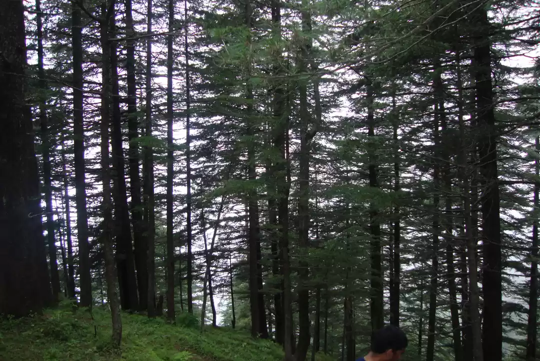 Photo of Stunning Himachal #T