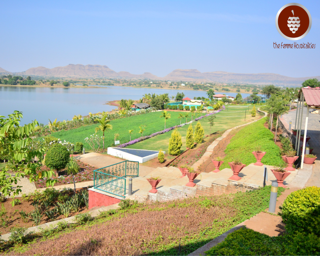 Photo of Finding Savana #Dest