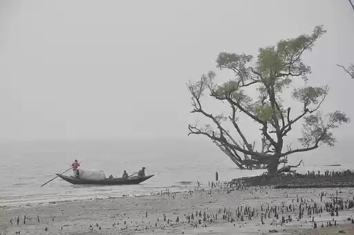 Photo of Sundarban Tour Packa