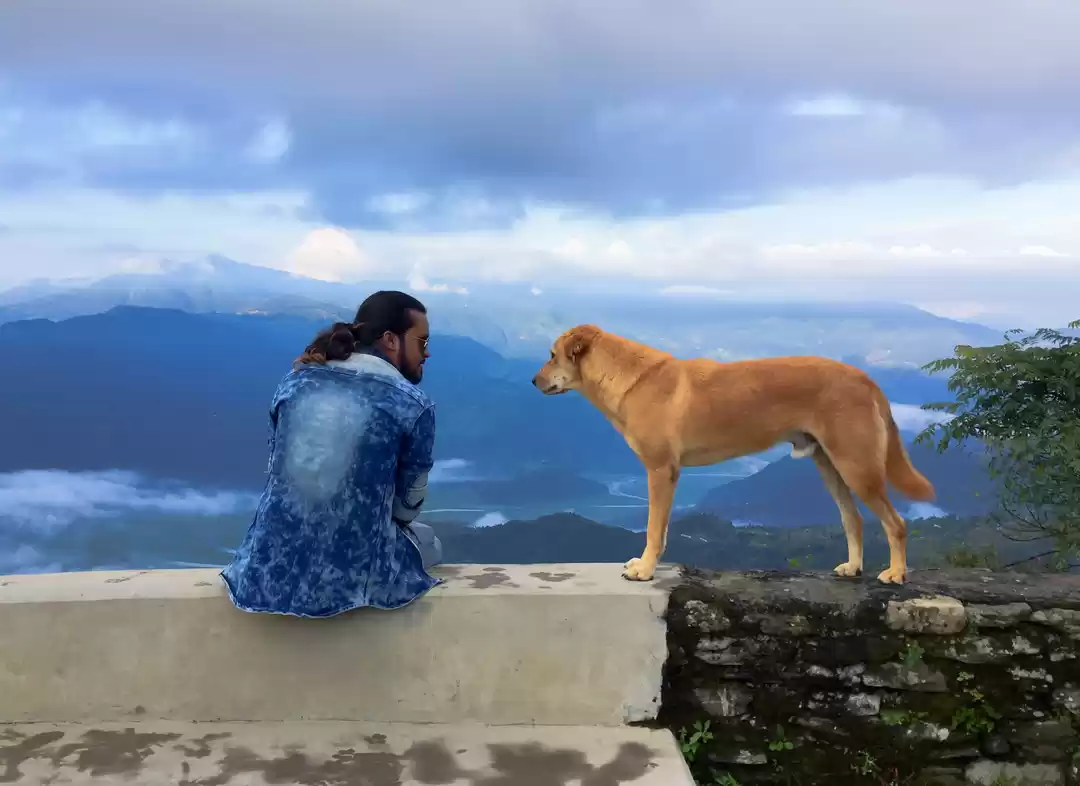 Photo of Will you my FRIEND? 