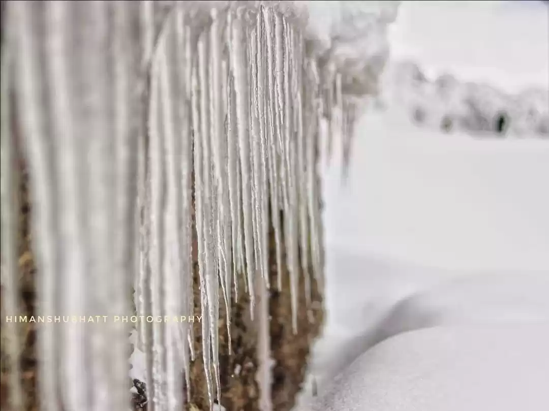 Photo of Auli #travelblog