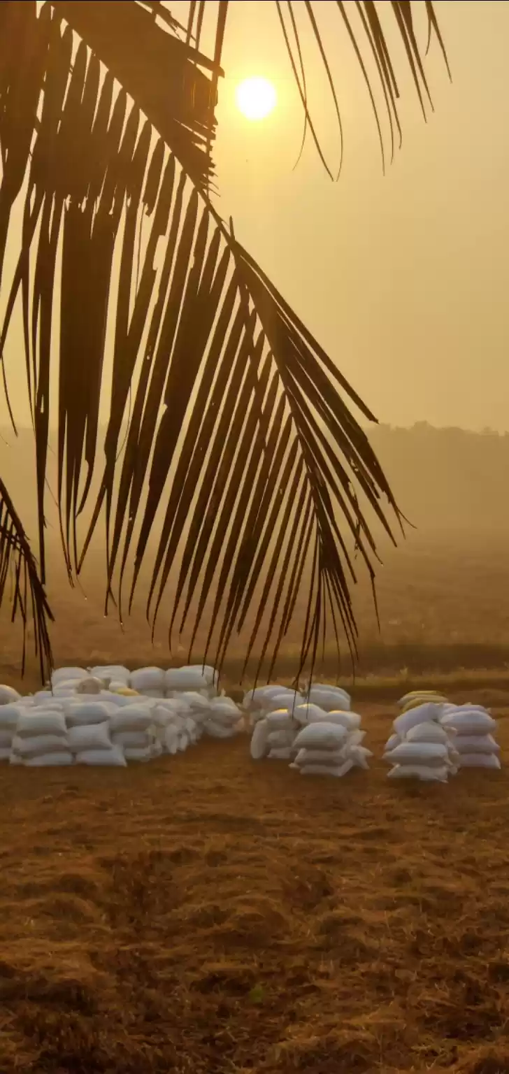 Photo of Pullu Thrissur