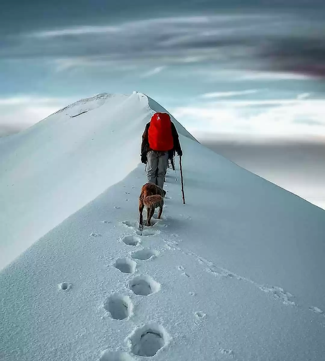 Photo of Dehradun to sankri